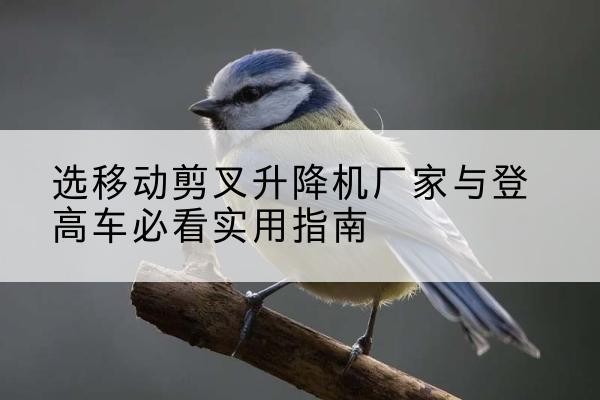 嘉鱼电动升降机厂家-选移动剪叉升降机厂家与登高车必看实用指南