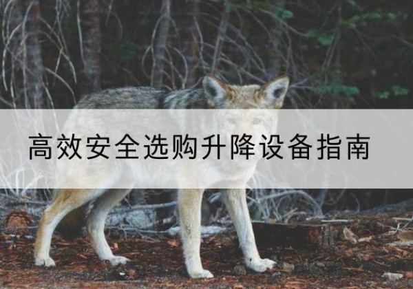 嘉鱼升降货梯厂家推荐-*安全选购升降设备指南