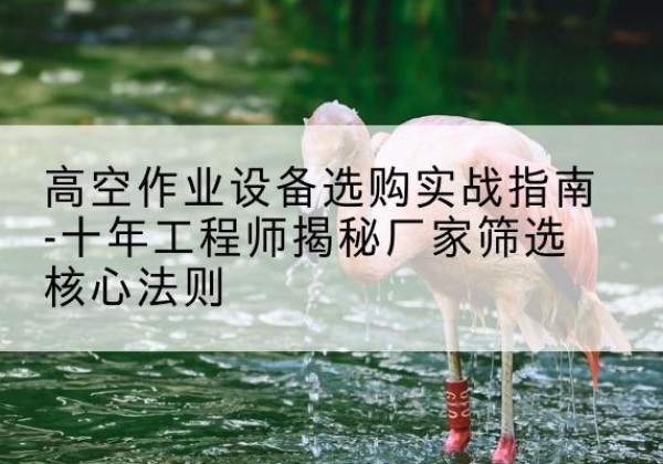 嘉鱼剪叉式升降机厂家-高空作业设备选购实战指南-十年工程师揭秘厂家筛选核心法则